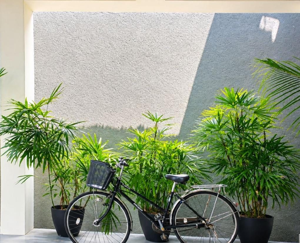Coco Palms garden bicycles