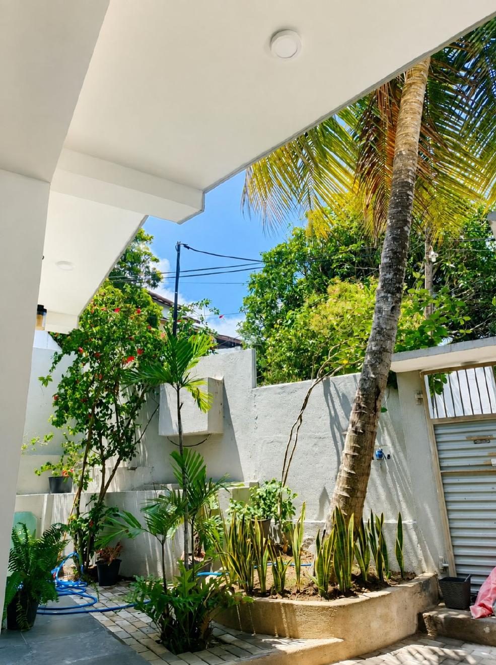 Coco Palms garden